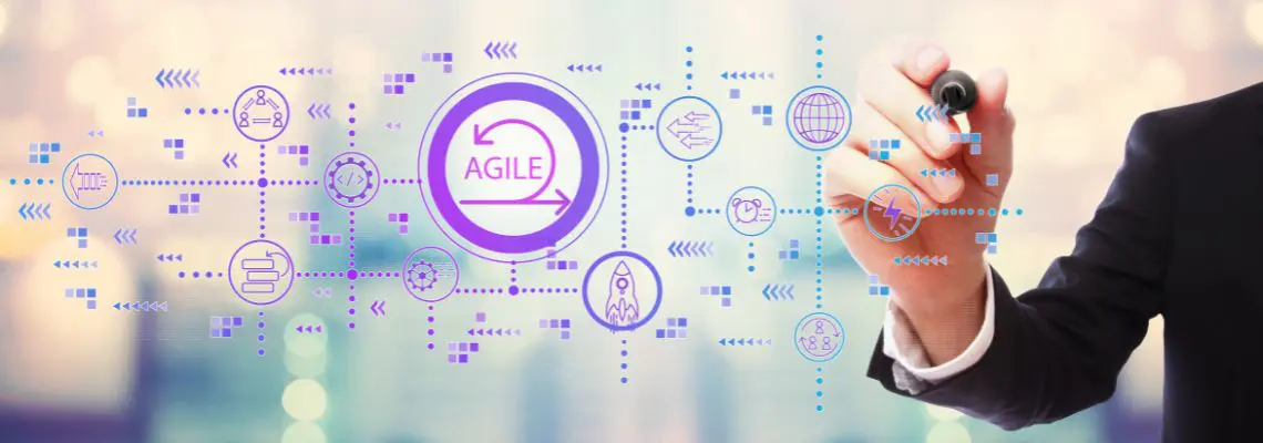 Project Management, Complex Systems, Agile and Design Thinking.